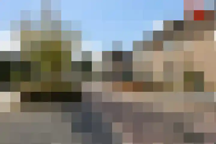 Zonnedauw 20 Sleen thumbnail 52