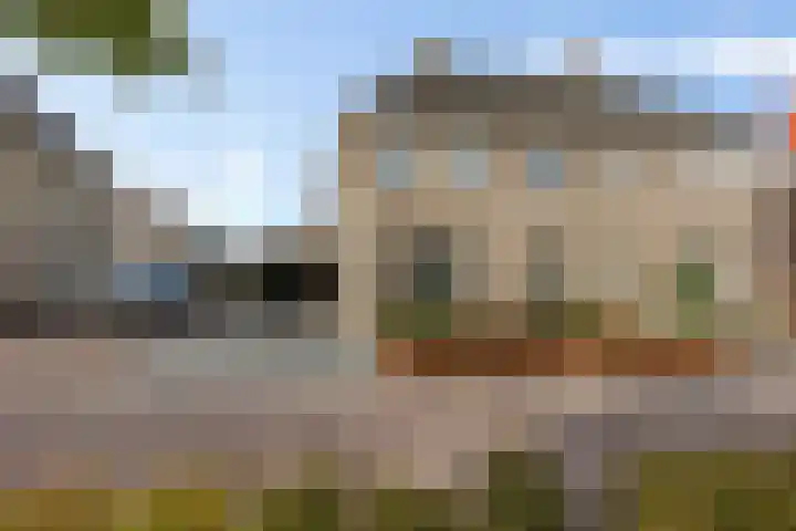 Zonnedauw 20 Sleen thumbnail 54