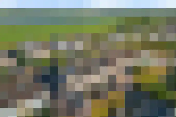 Zonnedauw 20 Sleen thumbnail 55