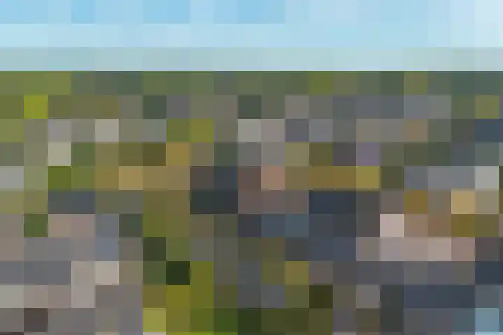 Zonnedauw 20 Sleen thumbnail 56