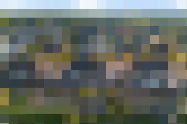 Zonnedauw 20 Sleen thumbnail 57