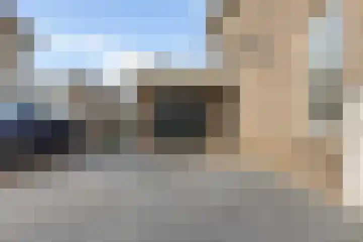 Zonnedauw 20 Sleen thumbnail 6