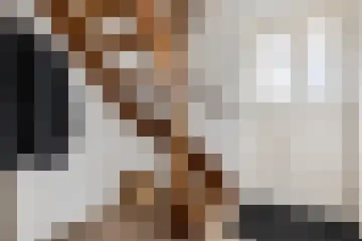 Zonnedauw 20 Sleen thumbnail 7