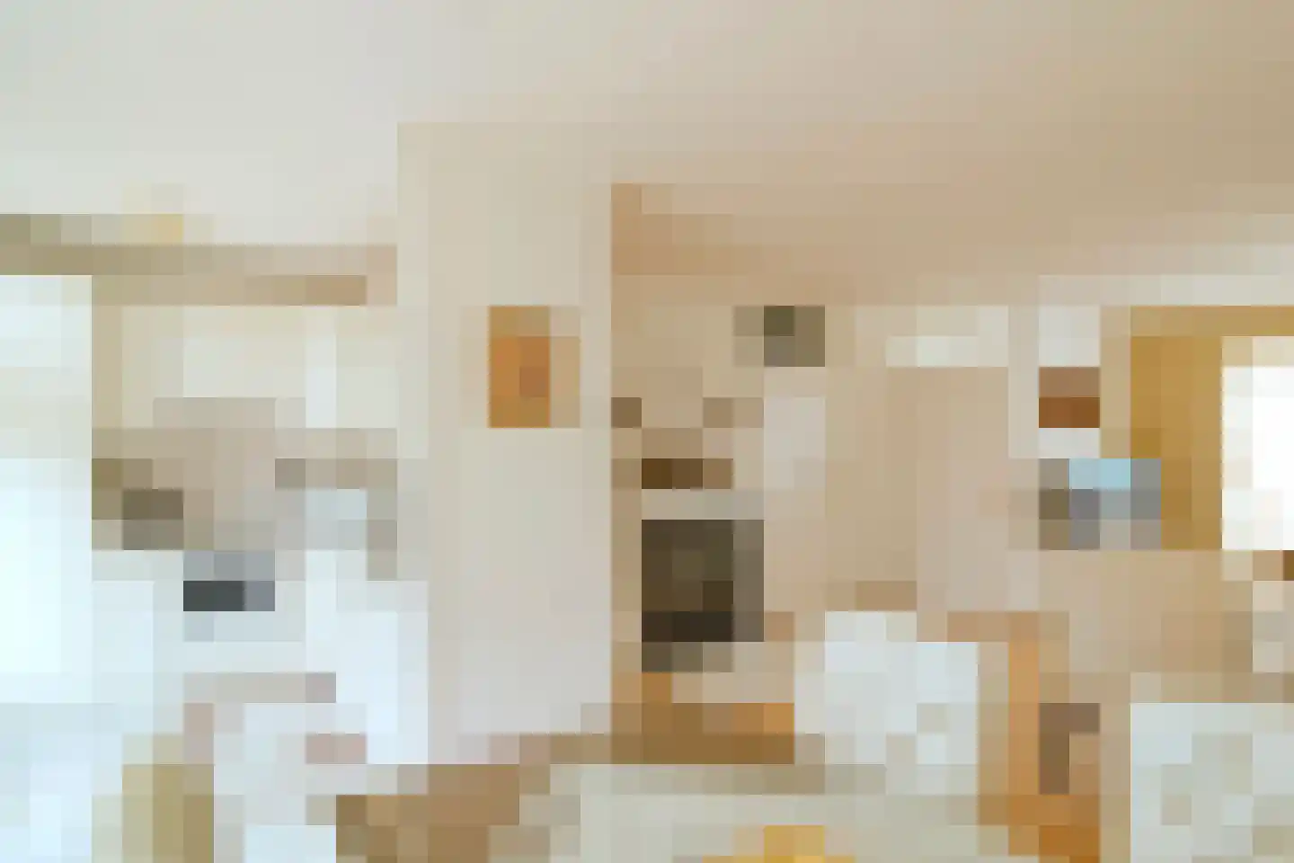 Zonnedauw 20 Tiel thumbnail 10