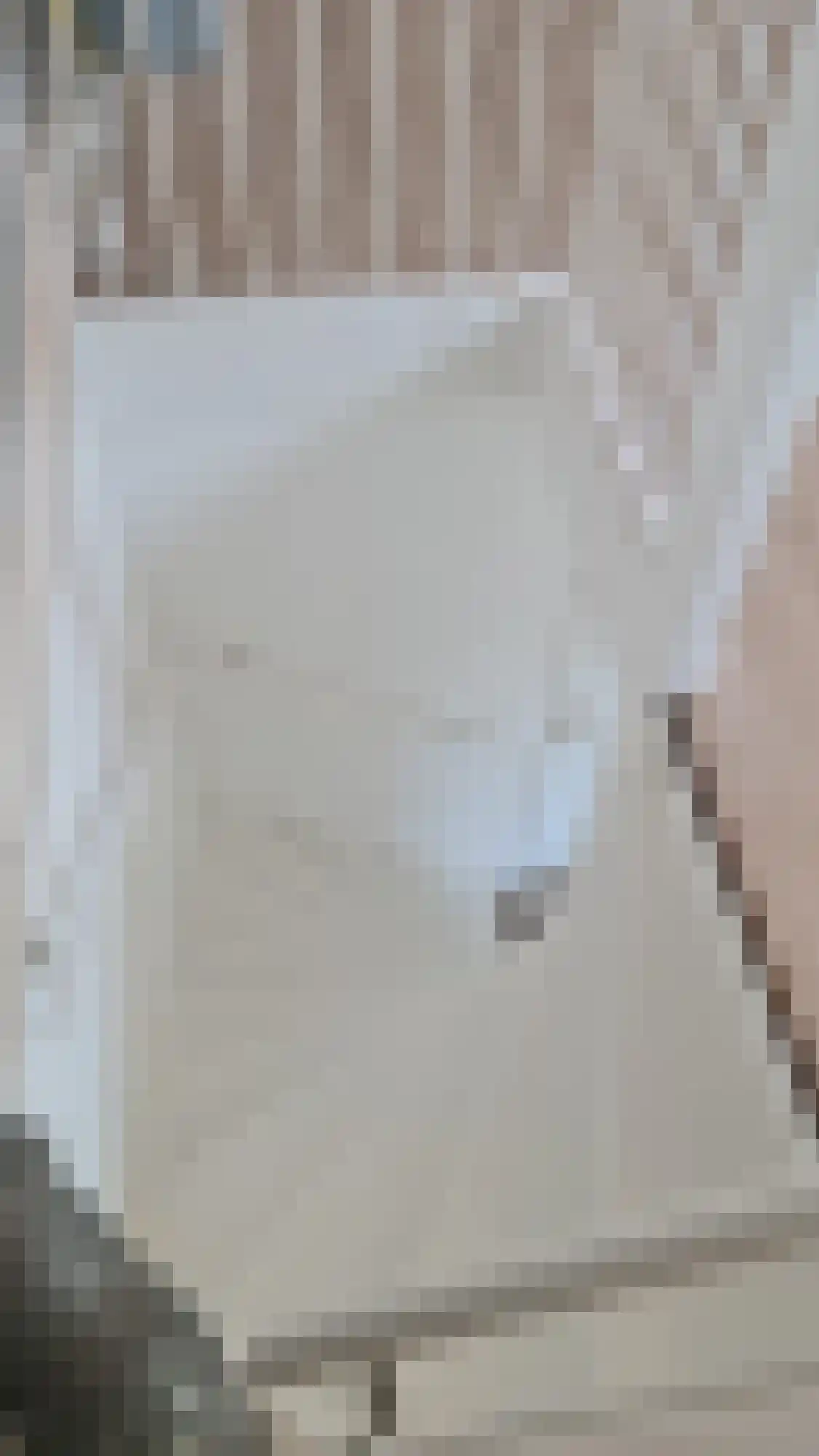 Zonnedauw 20 Tiel thumbnail 14