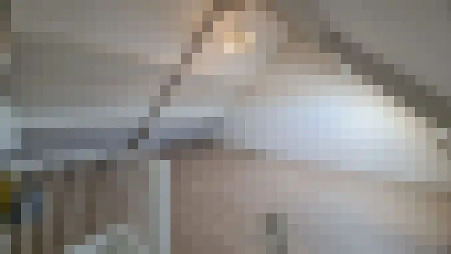 Zonnedauw 20 Tiel thumbnail 15