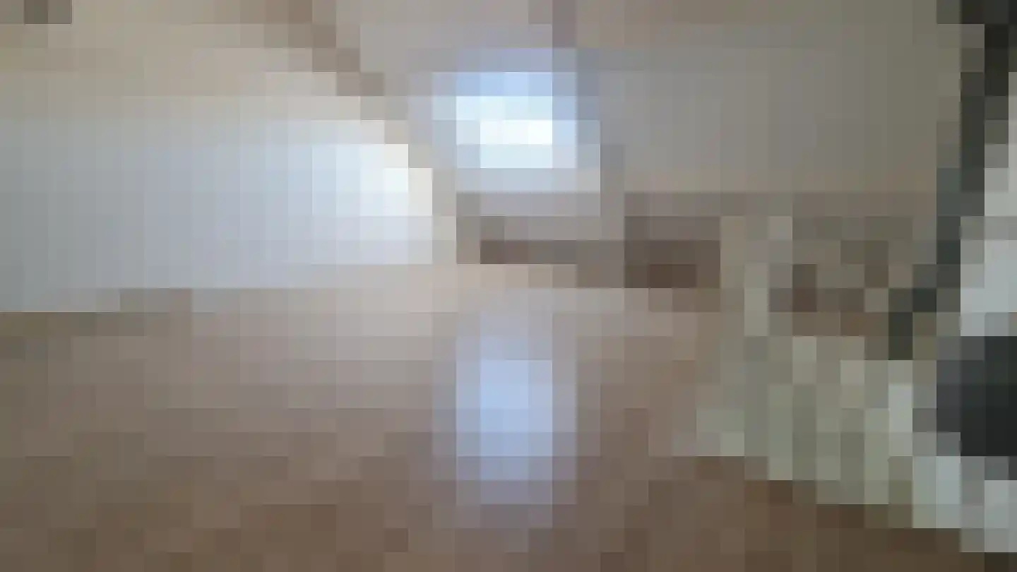 Zonnedauw 20 Tiel thumbnail 16