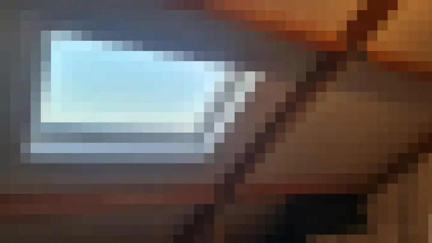 Zonnedauw 20 Tiel thumbnail 17