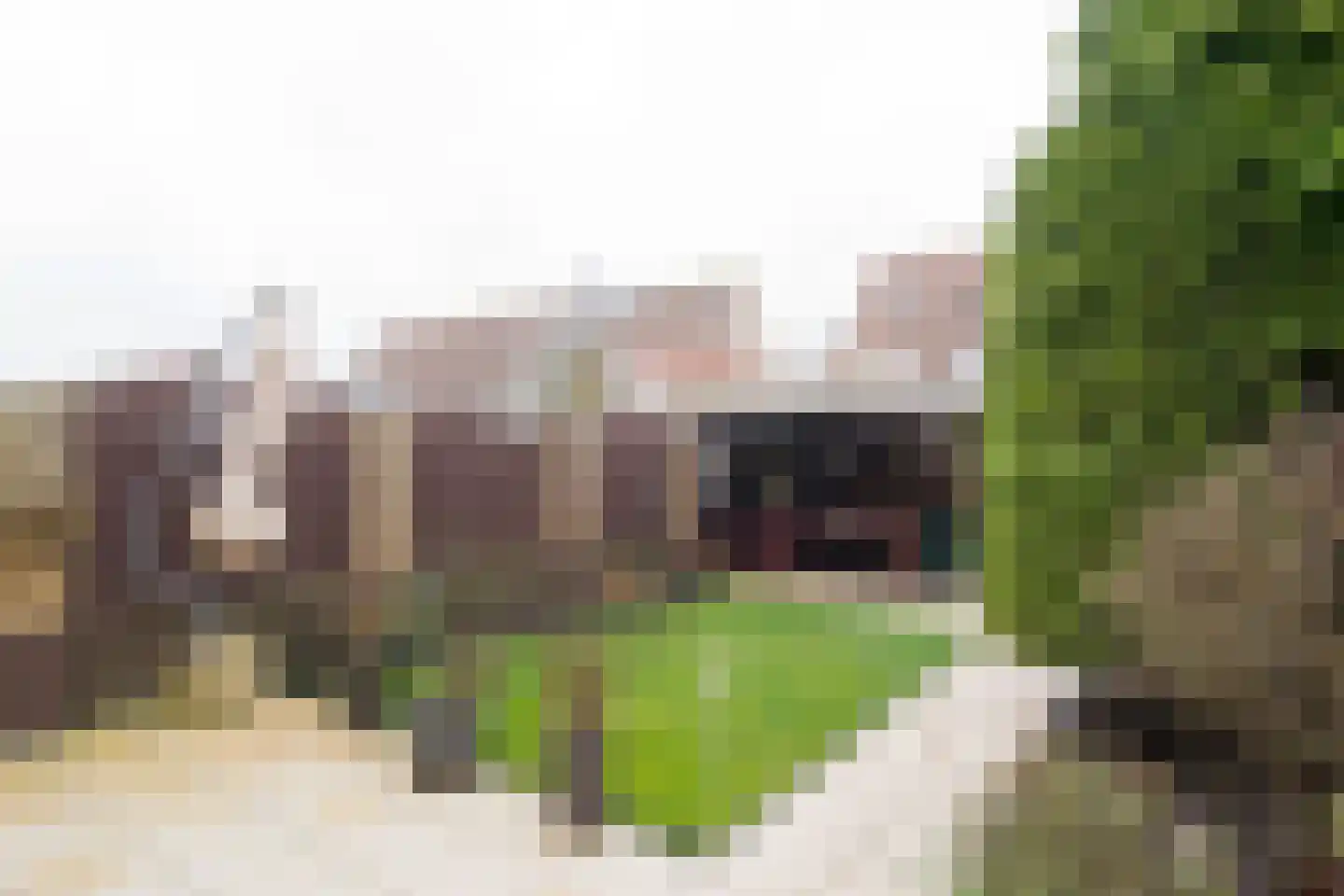 Zonnedauw 20 Tiel thumbnail 18