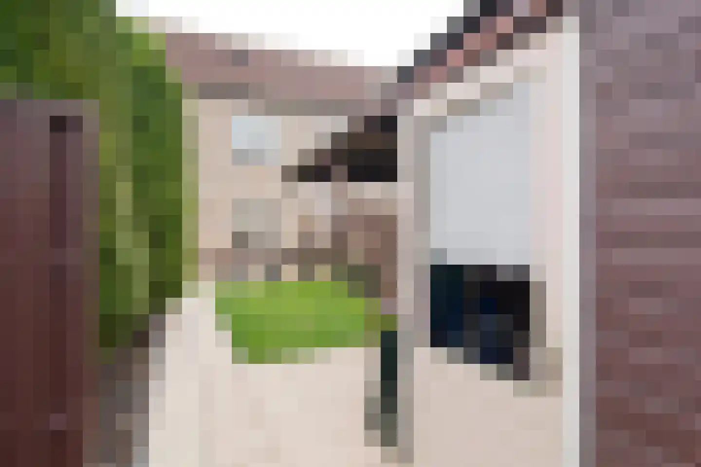 Zonnedauw 20 Tiel thumbnail 19