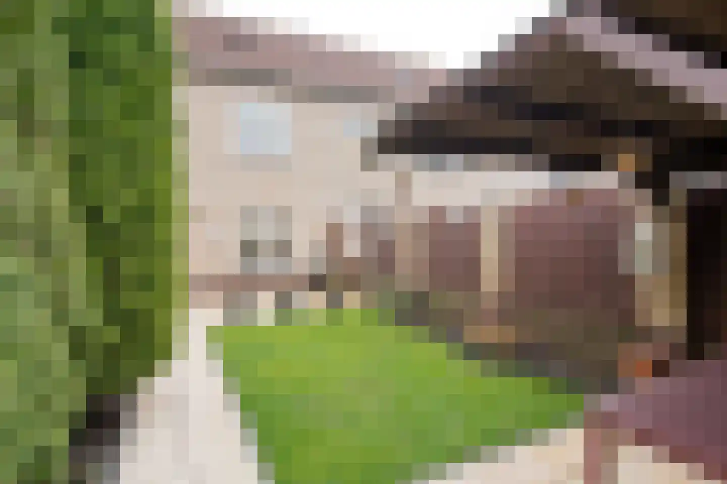 Zonnedauw 20 Tiel thumbnail 20