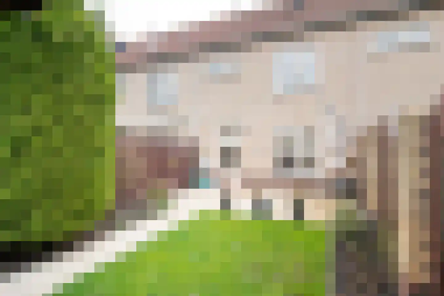 Zonnedauw 20 Tiel thumbnail 21