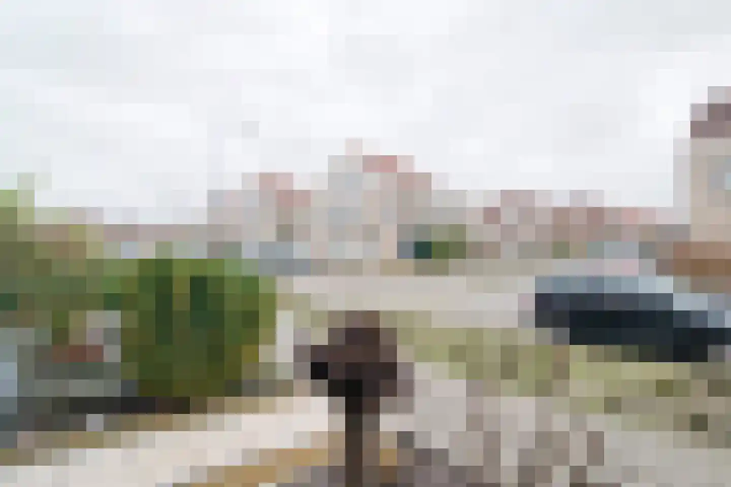 Zonnedauw 20 Tiel thumbnail 7