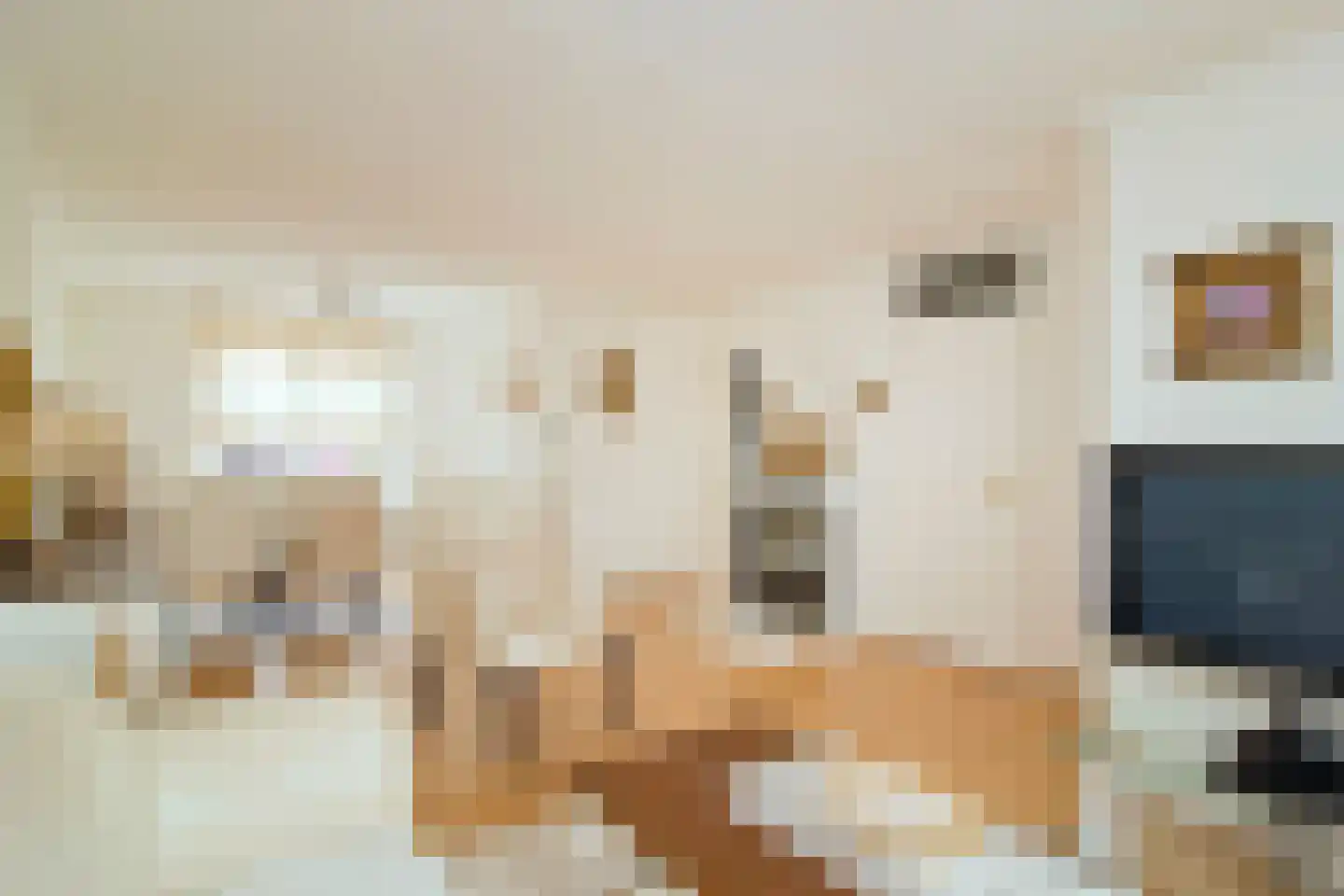 Zonnedauw 20 Tiel thumbnail 9