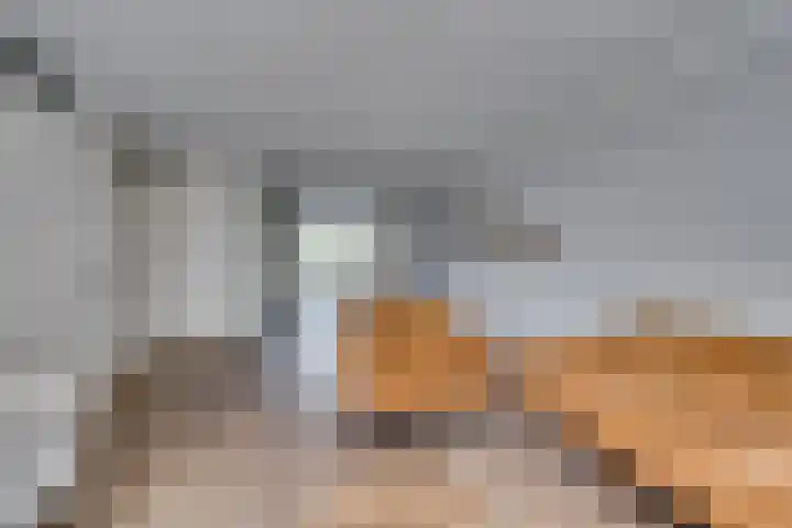 Zonnedauw 21 Sevenum thumbnail 10