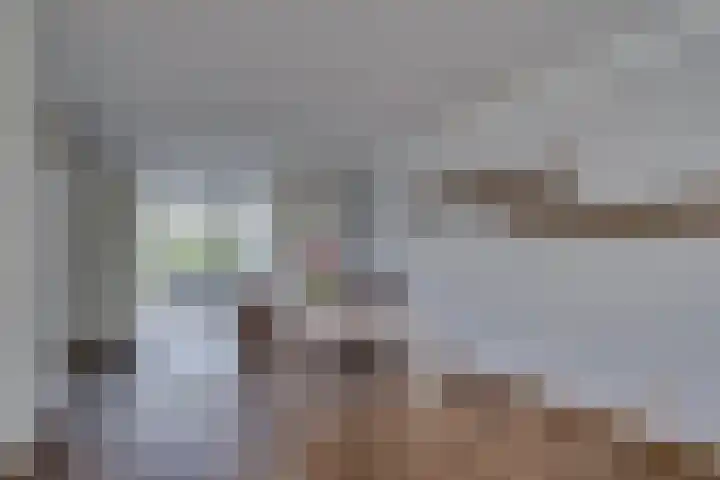 Zonnedauw 21 Sevenum thumbnail 11