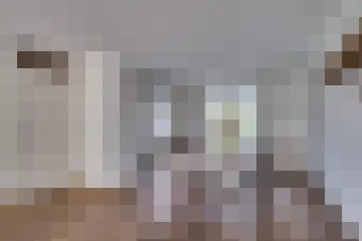 Zonnedauw 21 Sevenum thumbnail 12