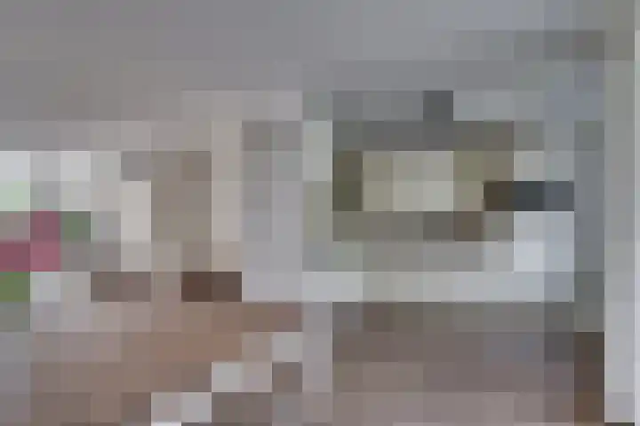 Zonnedauw 21 Sevenum thumbnail 14