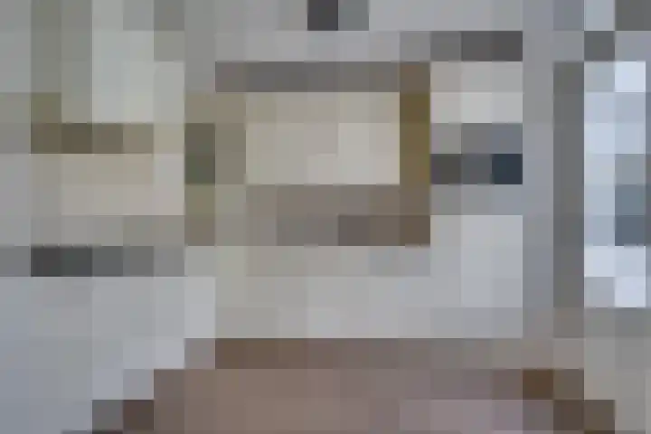 Zonnedauw 21 Sevenum thumbnail 15
