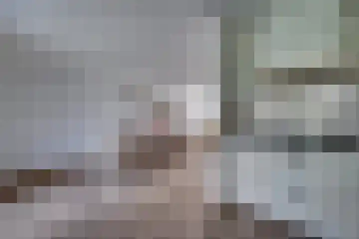 Zonnedauw 21 Sevenum thumbnail 16