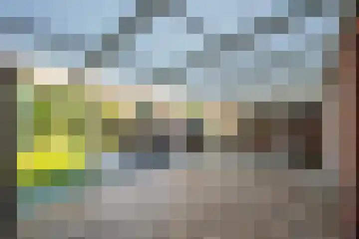 Zonnedauw 21 Sevenum thumbnail 17