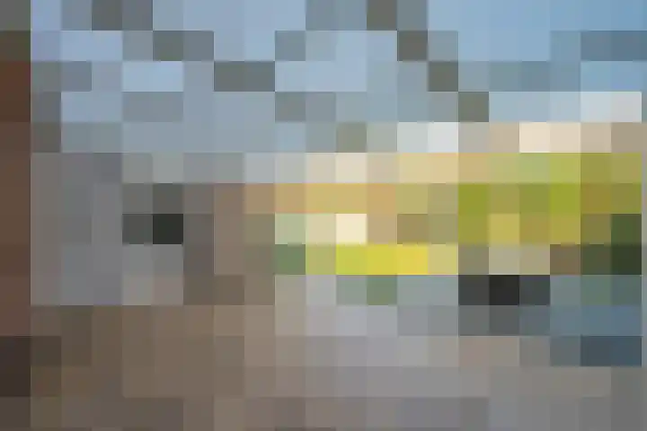 Zonnedauw 21 Sevenum thumbnail 18