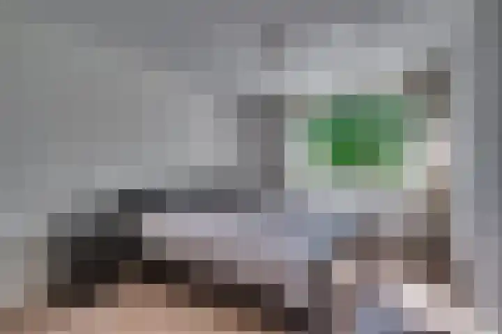Zonnedauw 21 Sevenum thumbnail 22
