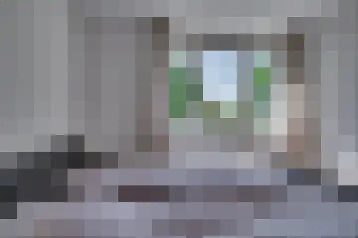 Zonnedauw 21 Sevenum thumbnail 23