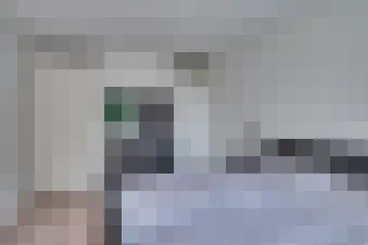 Zonnedauw 21 Sevenum thumbnail 24