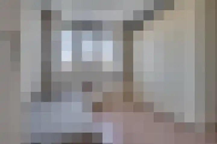 Zonnedauw 21 Sevenum thumbnail 25