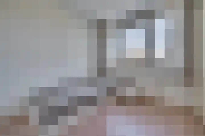 Zonnedauw 21 Sevenum thumbnail 26