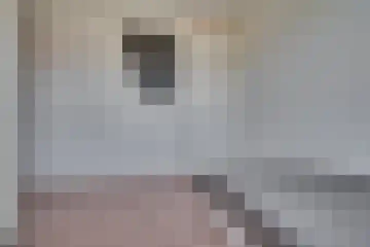 Zonnedauw 21 Sevenum thumbnail 27