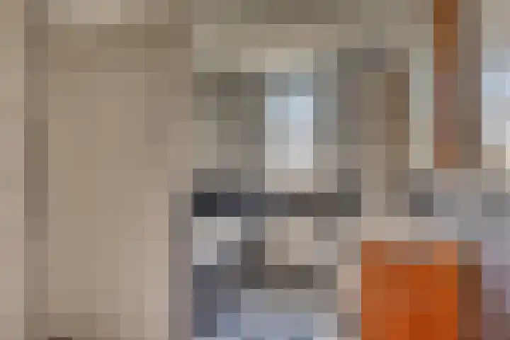 Zonnedauw 21 Sevenum thumbnail 30