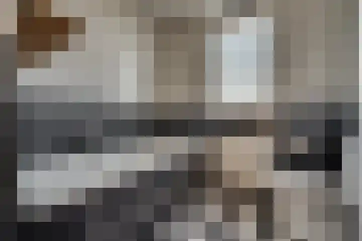 Zonnedauw 21 Sevenum thumbnail 31