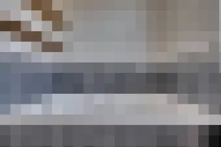 Zonnedauw 21 Sevenum thumbnail 32
