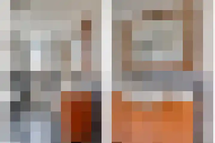 Zonnedauw 21 Sevenum thumbnail 33