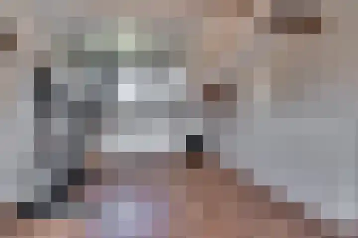 Zonnedauw 21 Sevenum thumbnail 37