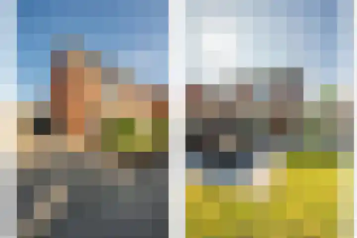 Zonnedauw 21 Sevenum thumbnail 4