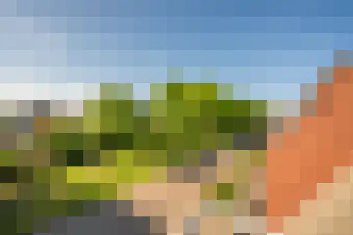 Zonnedauw 21 Sevenum thumbnail 41