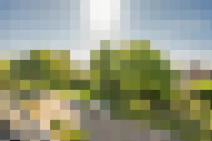 Zonnedauw 21 Sevenum thumbnail 42