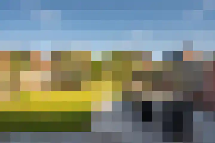 Zonnedauw 21 Sevenum thumbnail 44