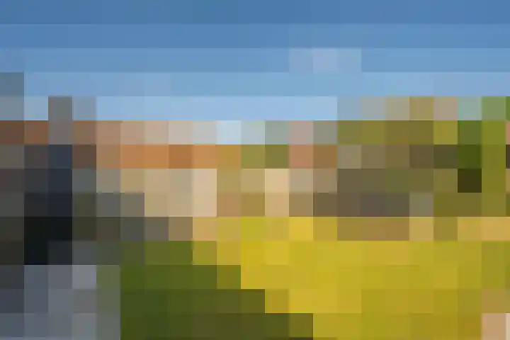 Zonnedauw 21 Sevenum thumbnail 45