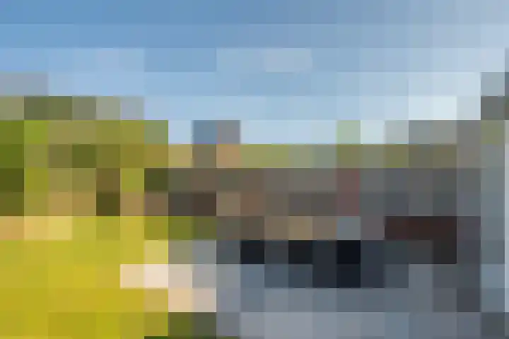 Zonnedauw 21 Sevenum thumbnail 46
