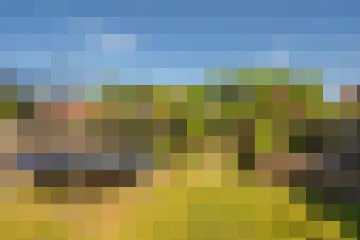 Zonnedauw 21 Sevenum thumbnail 47