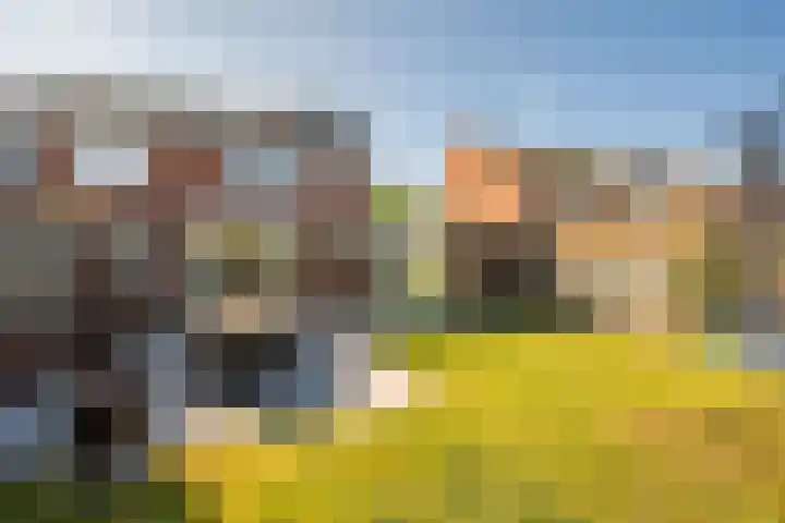 Zonnedauw 21 Sevenum thumbnail 48