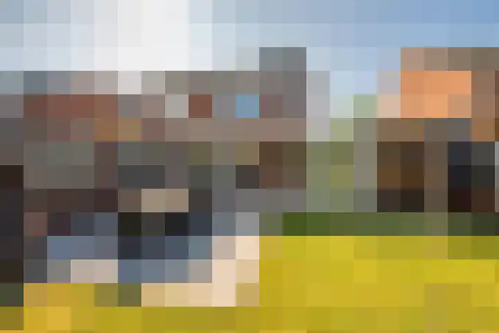 Zonnedauw 21 Sevenum thumbnail 49