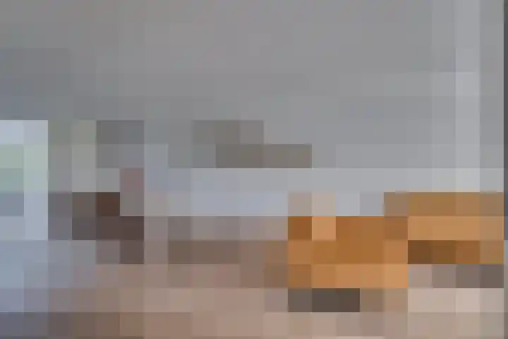 Zonnedauw 21 Sevenum thumbnail 5