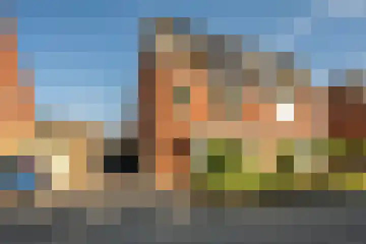 Zonnedauw 21 Sevenum thumbnail 50