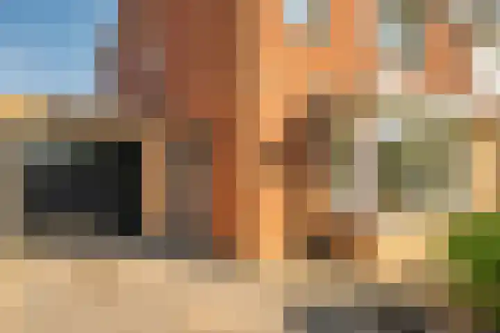 Zonnedauw 21 Sevenum thumbnail 51