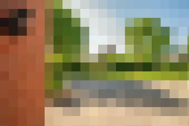 Zonnedauw 21 Sevenum thumbnail 52